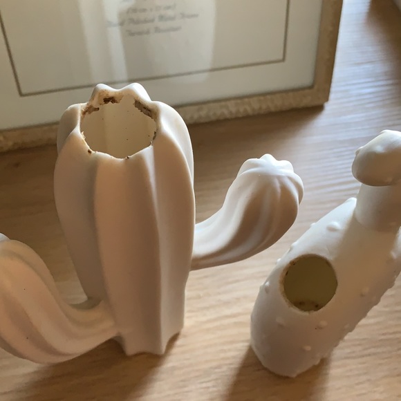 Succulent/ Cacti plant holder - Picture 2 of 2